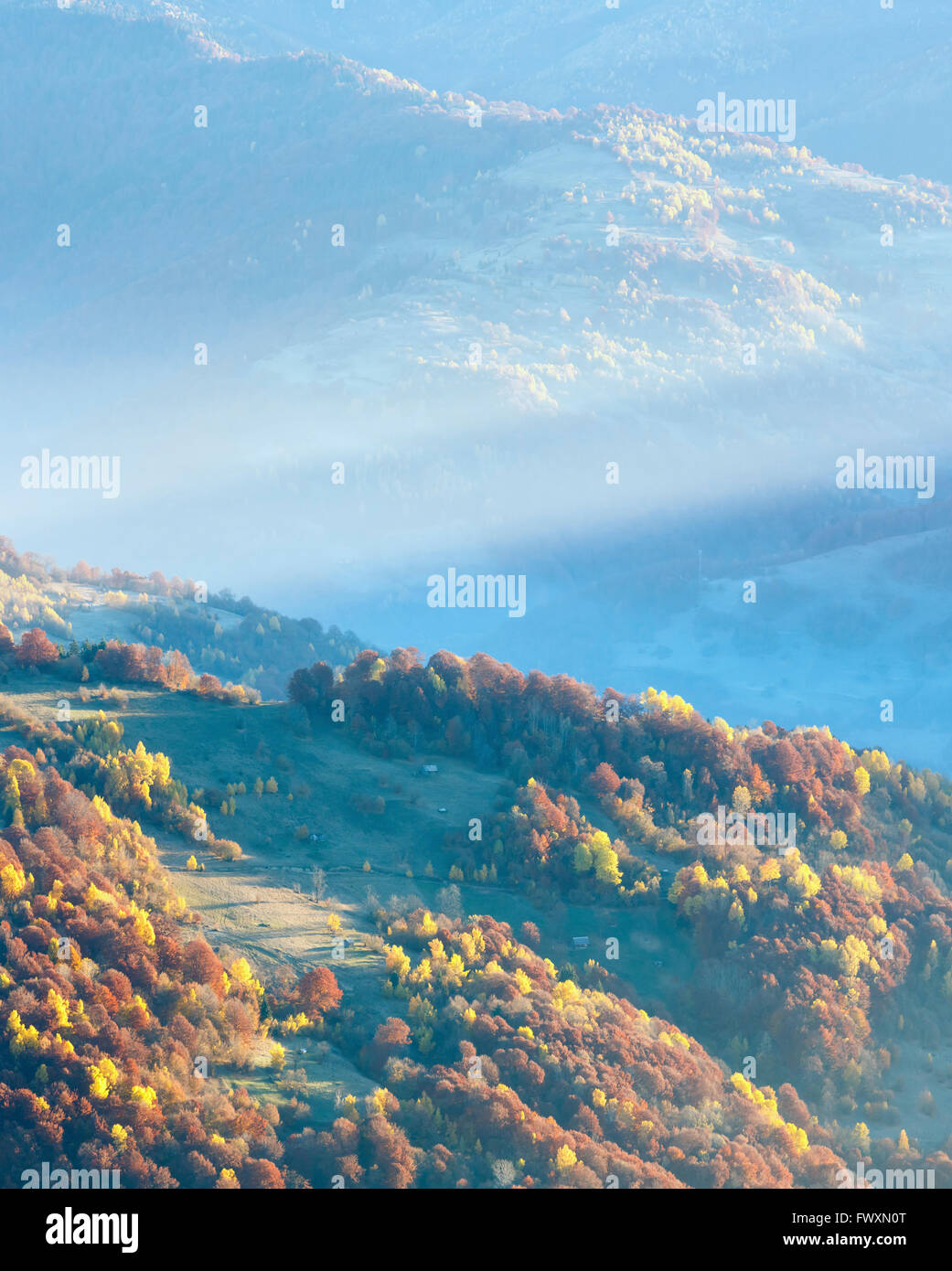 Sunbeam et automne matin brumeux sur la montagne avec des arbres sur les talus. Banque D'Images