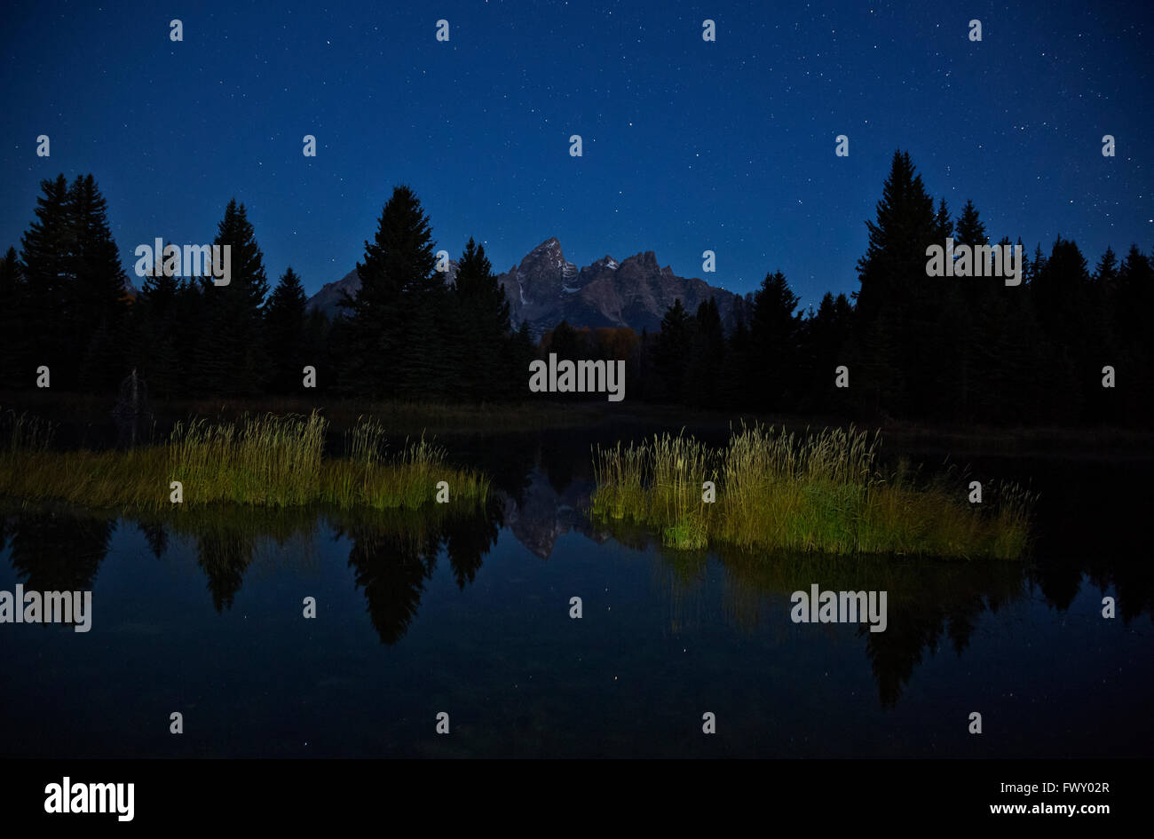 WYOMING - Stars prolongé dans l'aube à l'atterrissage sur la Schwabacher Snake River dans le Grand Teton National Park. Banque D'Images