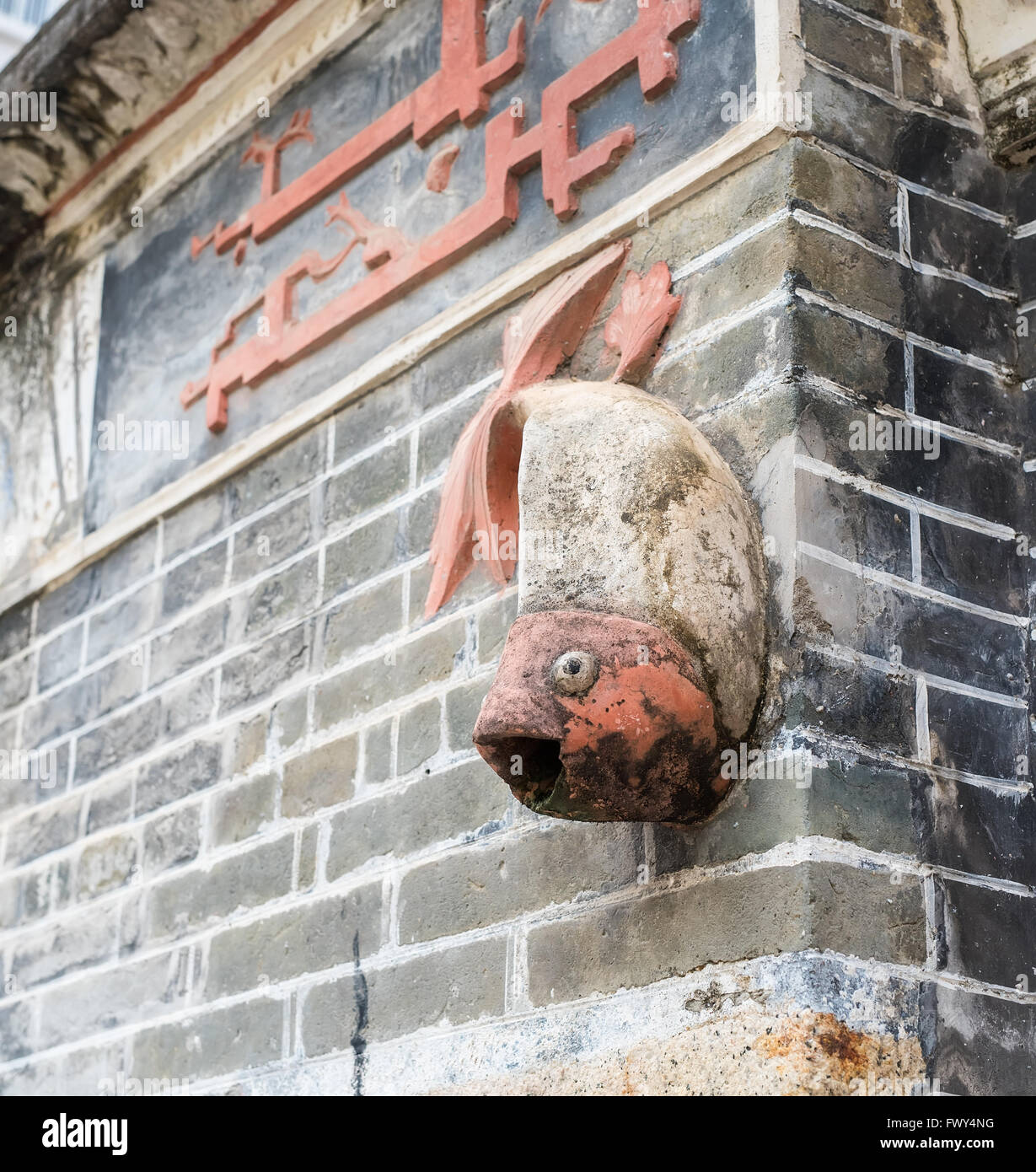 Le drainage du poisson sur le mur Banque D'Images