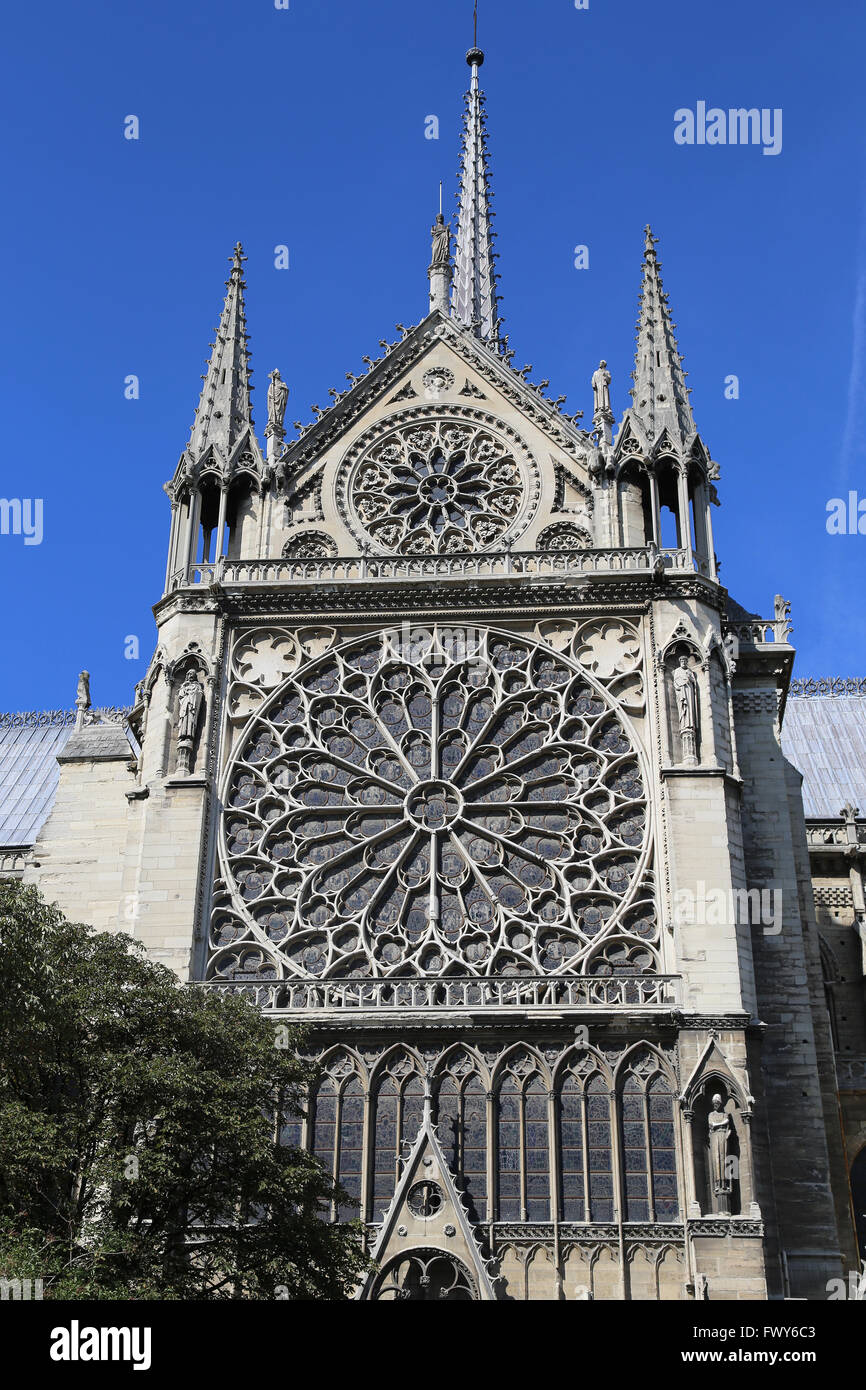 La France. Paris. Cathédrale de Notre-Dame. Gothique précoce. 13e siècle. Rose du sud Banque D'Images
