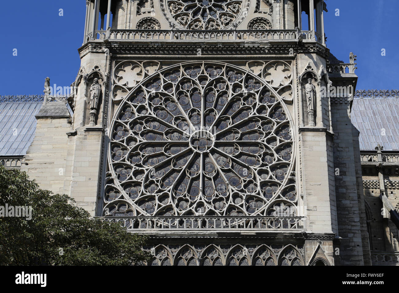 La France. Paris. Cathédrale de Notre-Dame. Gothique précoce. 13e siècle. Rose du sud Banque D'Images