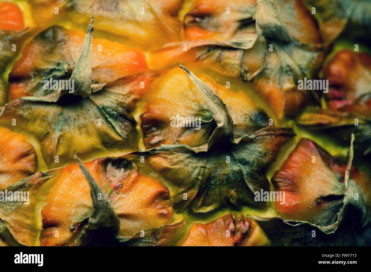La texture douce colorée vitalité surface d'ananas Banque D'Images