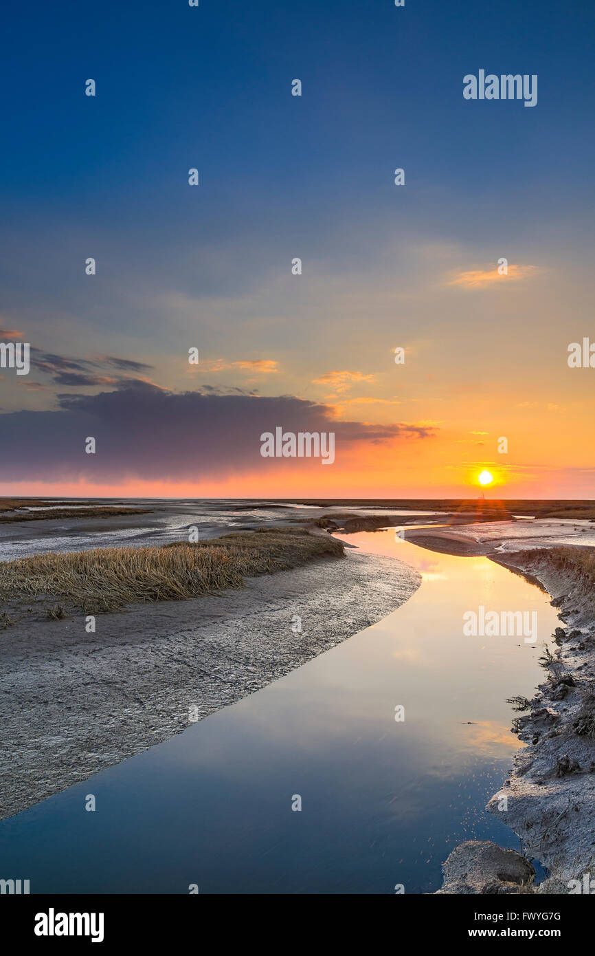 Ruisseau de marée au coucher du soleil, Friedrichskoog, Dithmarschen, Schleswig Holstein, Allemagne Banque D'Images