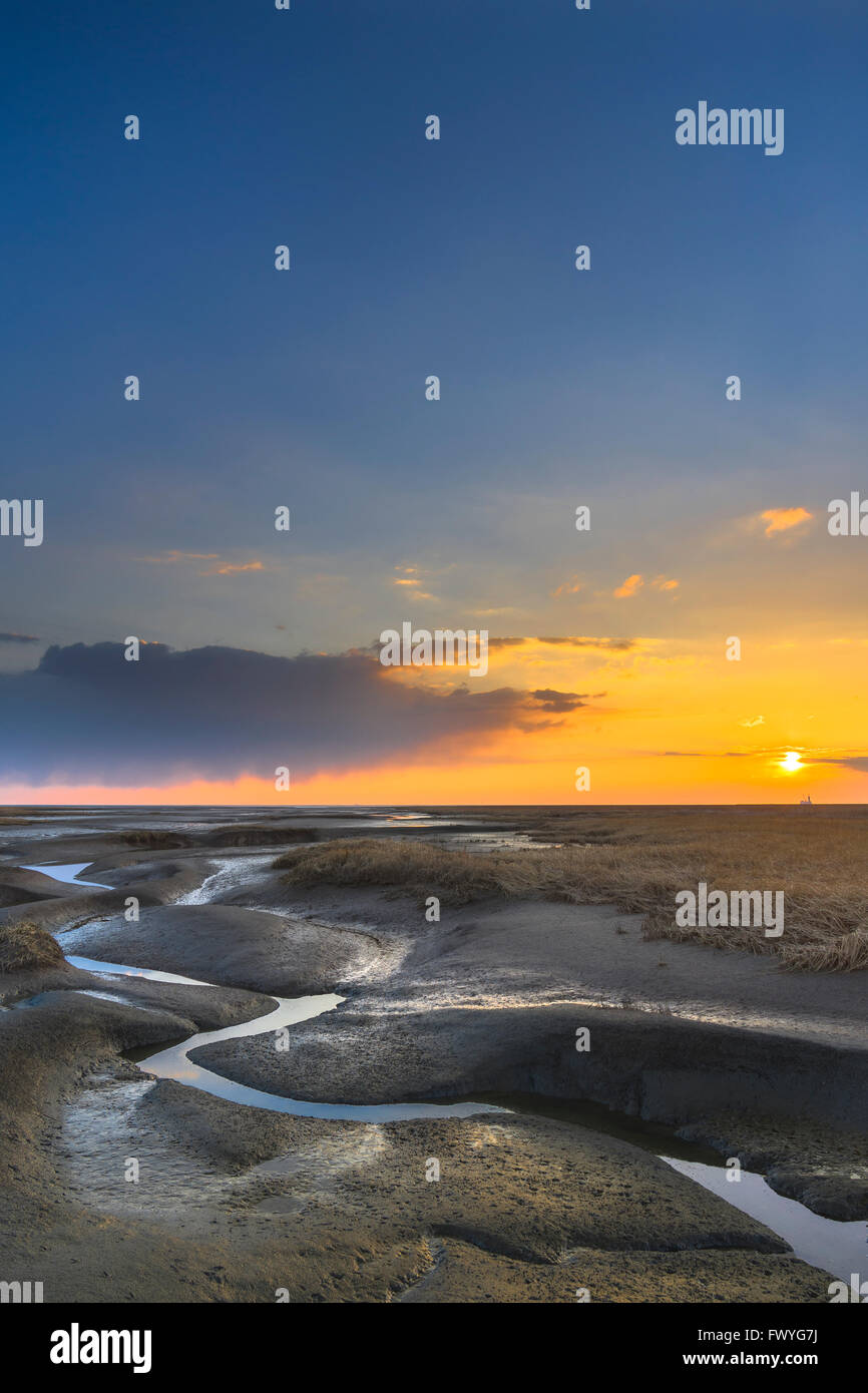 Ruisseau de marée au coucher du soleil, Friedrichskoog, Dithmarschen, Schleswig Holstein, Allemagne Banque D'Images