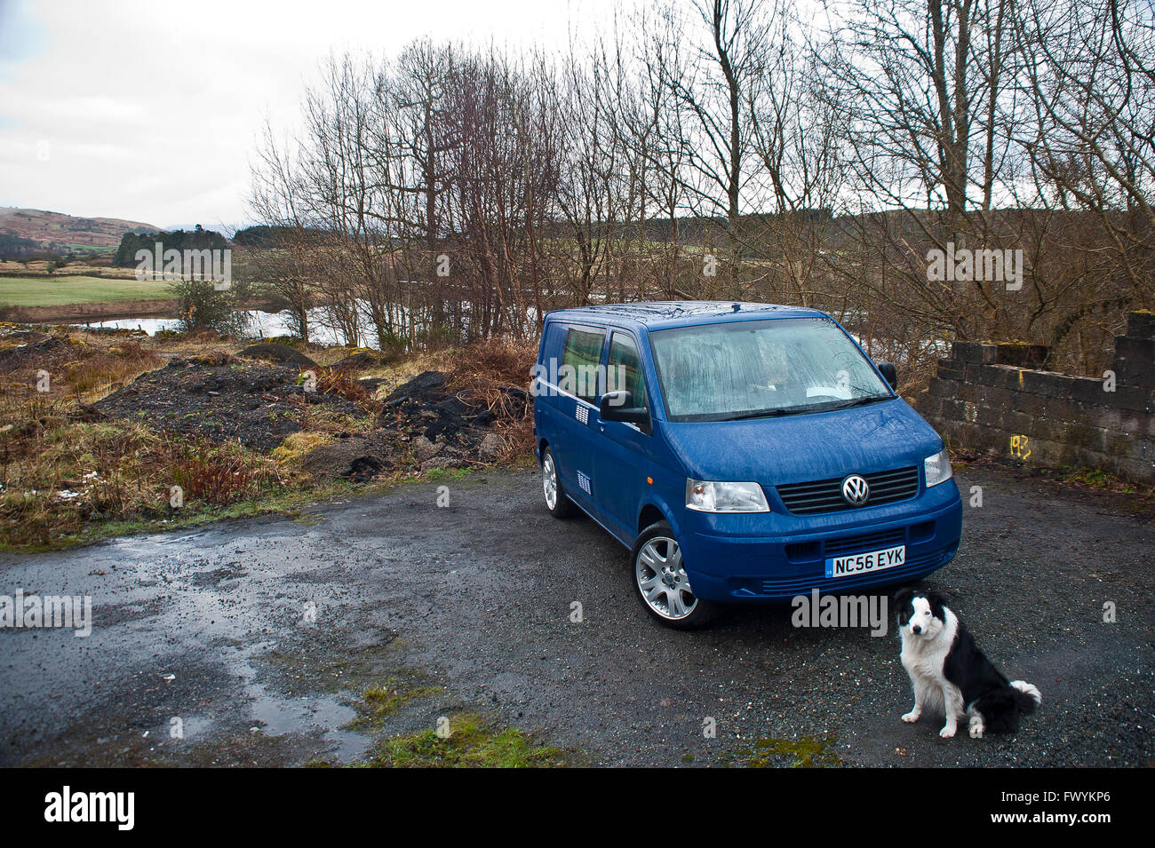 T5, transporter, vanlife, d'aventure, de l'automobile, bleu, Bretagne, bus, Ecosse, chien, Collie, k9, VW, combi, maison de vacances,camping sauvage Banque D'Images