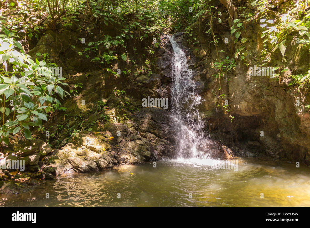 Péninsule de Osa, COSTA RICA - cascade et ruisseau en forêt tropicale. Banque D'Images