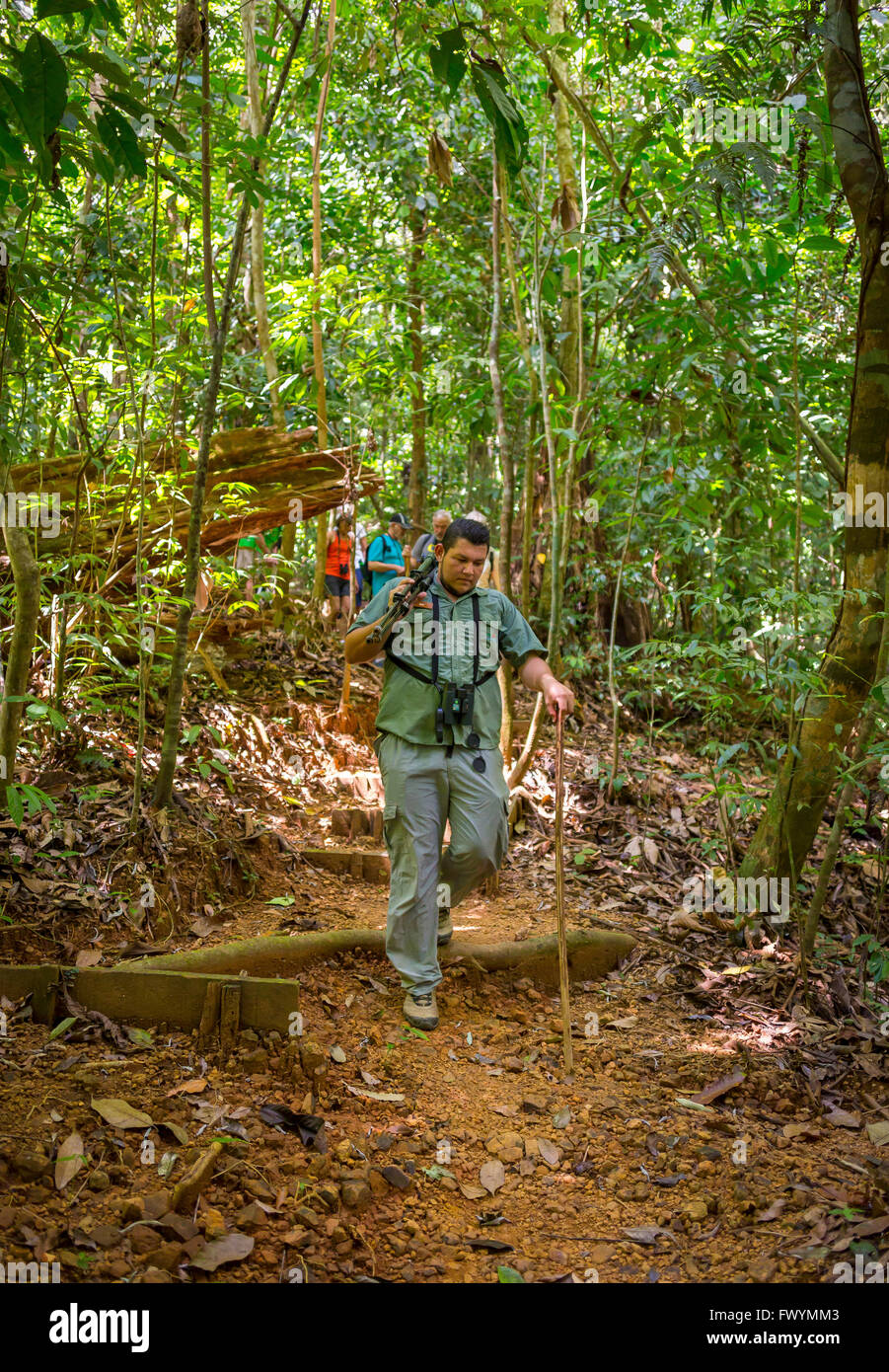 Péninsule de Osa, COSTA RICA - guide naturaliste avec l'éco-touristes en randonnée sur la forêt tropicale. Banque D'Images