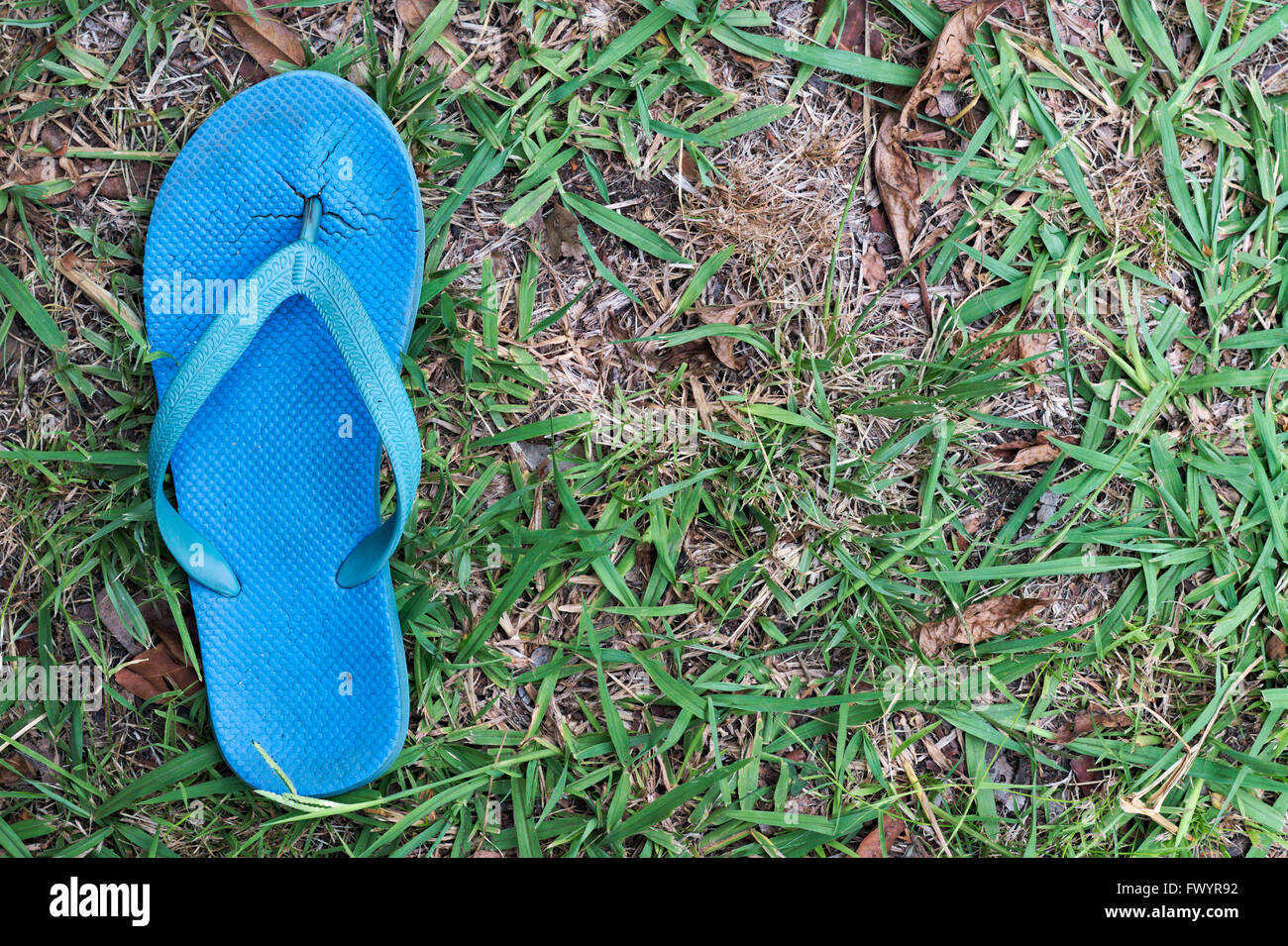Usé bleu unique thong ou flip flop contre un creux à l'herbe de la pelouse. Banque D'Images