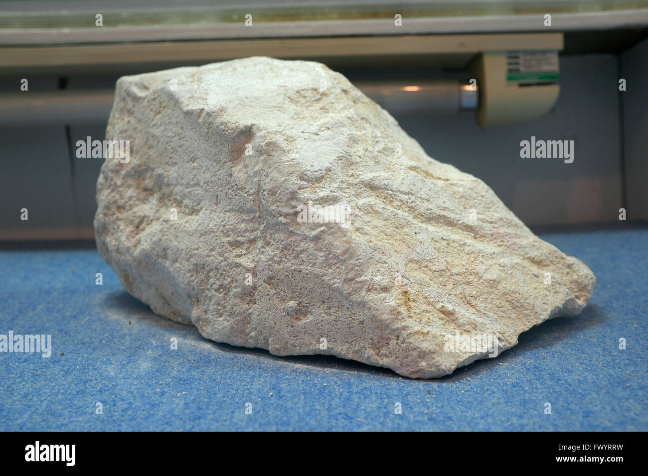 Kaolin kaolin. Musée de Jiangxi, Chine. Banque D'Images