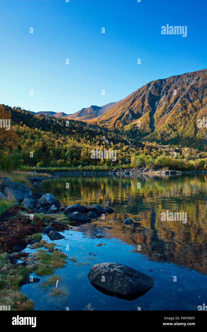 Austerfjorden Revsves Hinnøya près de sur l'île du nord de la Norvège sur une belle journée d'automne. Banque D'Images