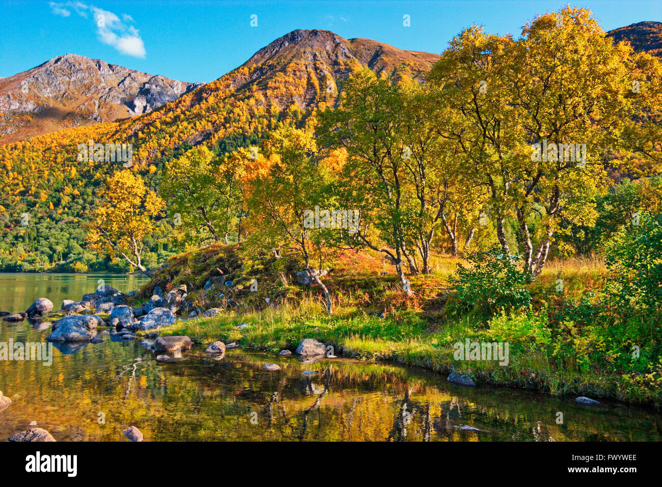 Austerfjorden Revsves Hinnøya près de sur l'île du nord de la Norvège sur une belle journée d'automne. Banque D'Images