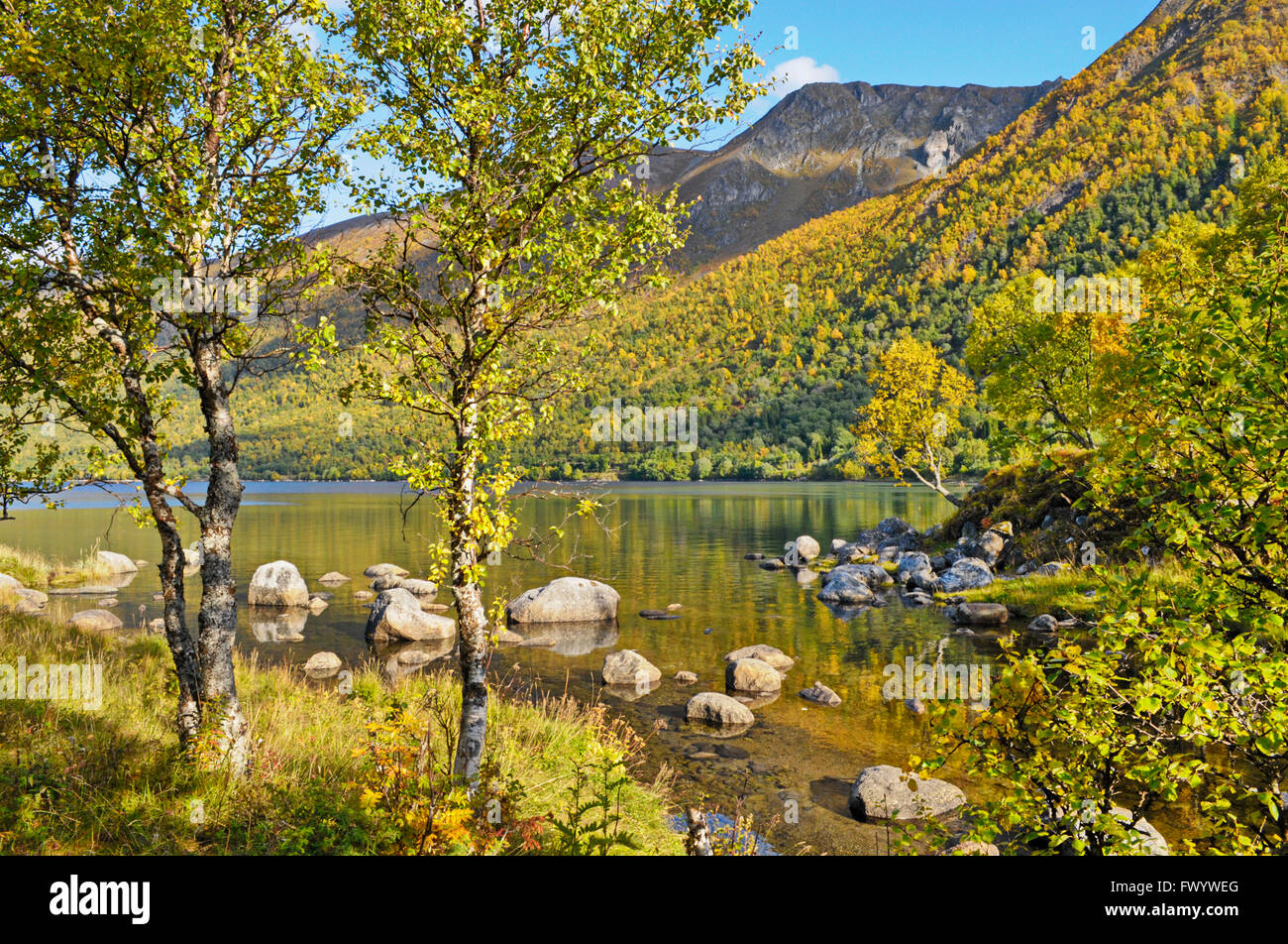 Austerfjorden Revsves Hinnøya près de sur l'île du nord de la Norvège sur une belle journée d'automne. Banque D'Images
