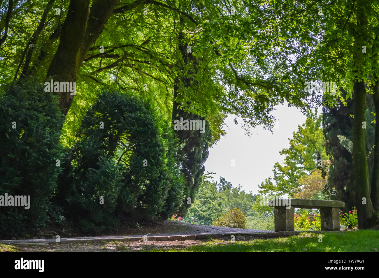 Banc en pierre sous les arbres dans un parc Banque D'Images