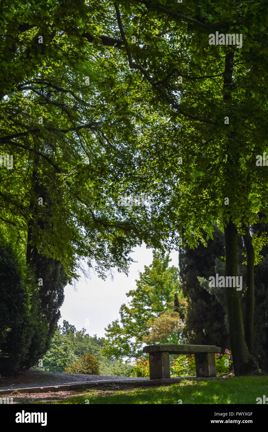 Banc en pierre sous les arbres dans un parc Banque D'Images