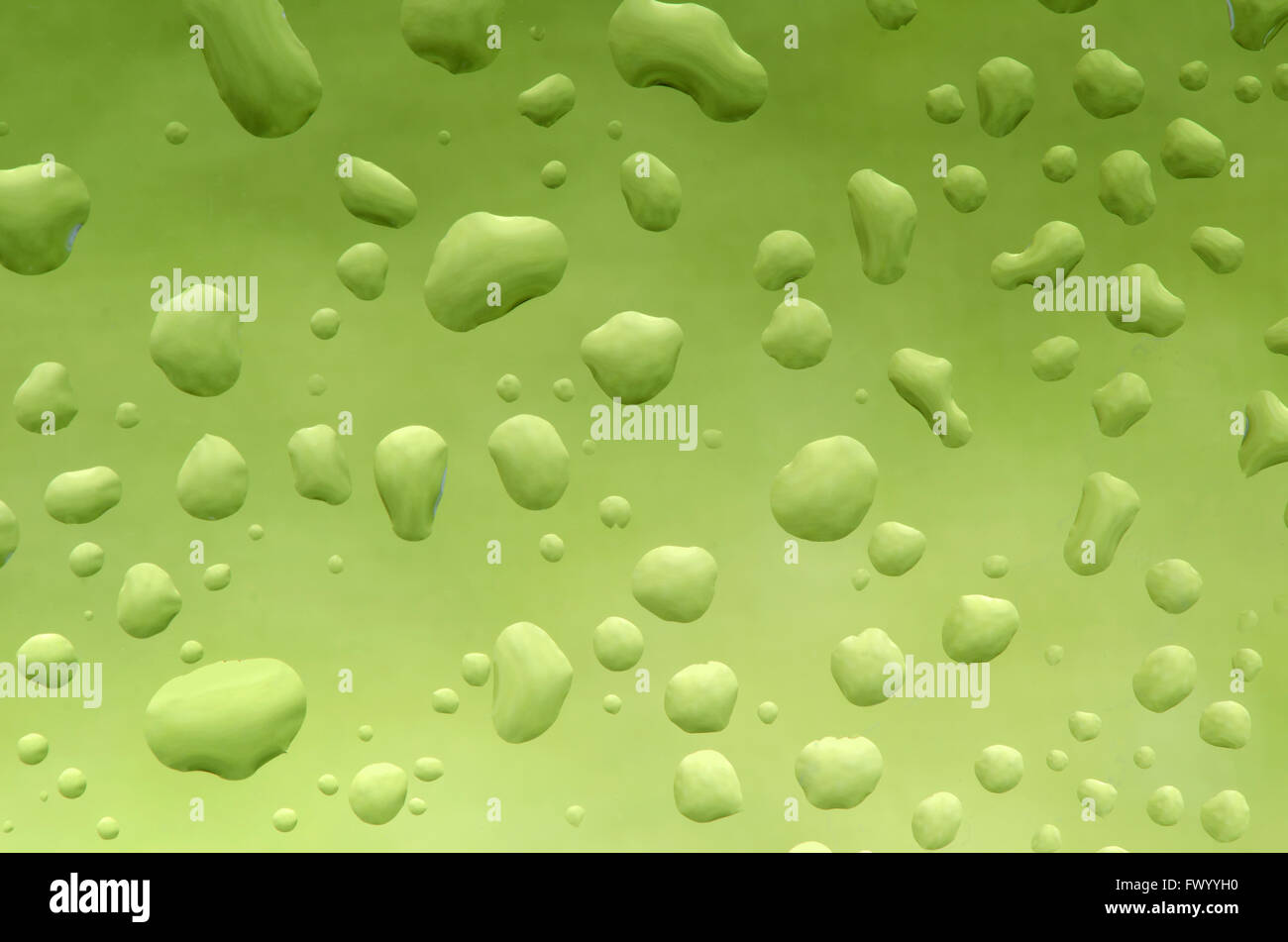 Gouttes d'eau sur fond naturel vert gresh. Banque D'Images