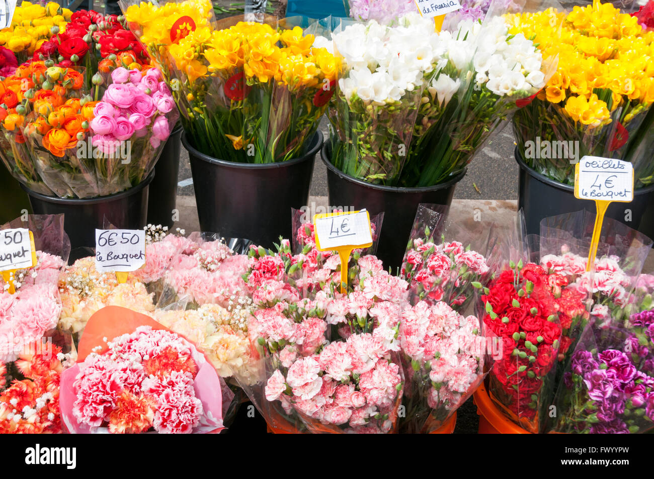 Seaux de fleurs coupées en vente sur Beziers marché aux fleurs. Banque D'Images