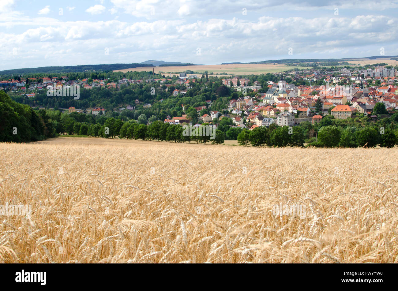 Photo de paysage horizontal composé de champ de blé, ville et forêt. Banque D'Images