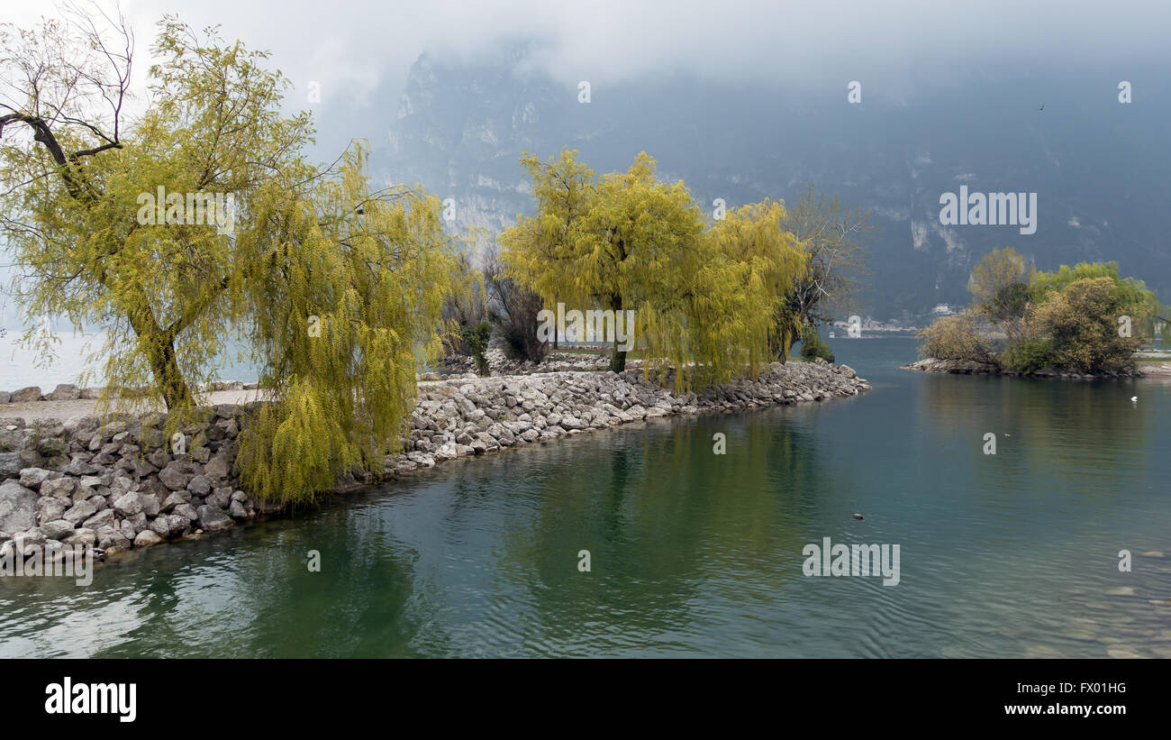 De saules sur la rive à Riva del Garda Banque D'Images