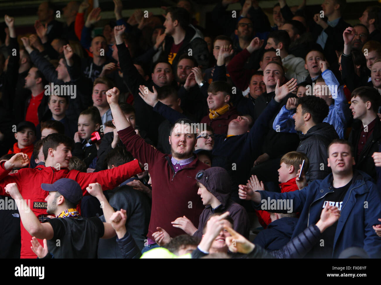 Fir Park, Hamilton, Scotland. 09 avr, 2016. Championnat d'Écosse de football Celtic contre Motherwell. Motherwell fans célèbrent leur crédit d'égaliseur : Action Plus Sport/Alamy Live News Banque D'Images