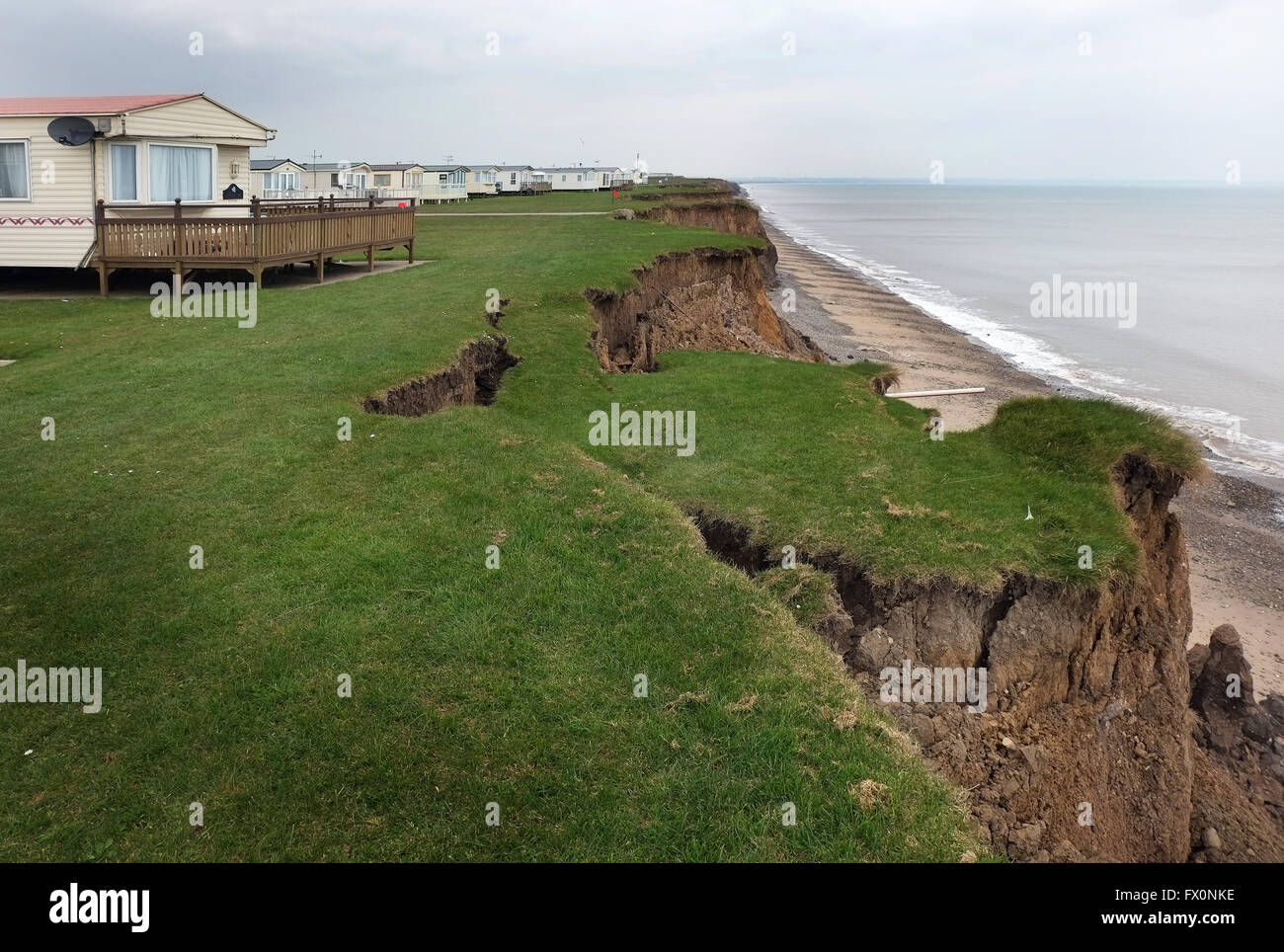 La falaise d'argile de l'érosion sur la côte est du Yorkshire, UK. Banque D'Images
