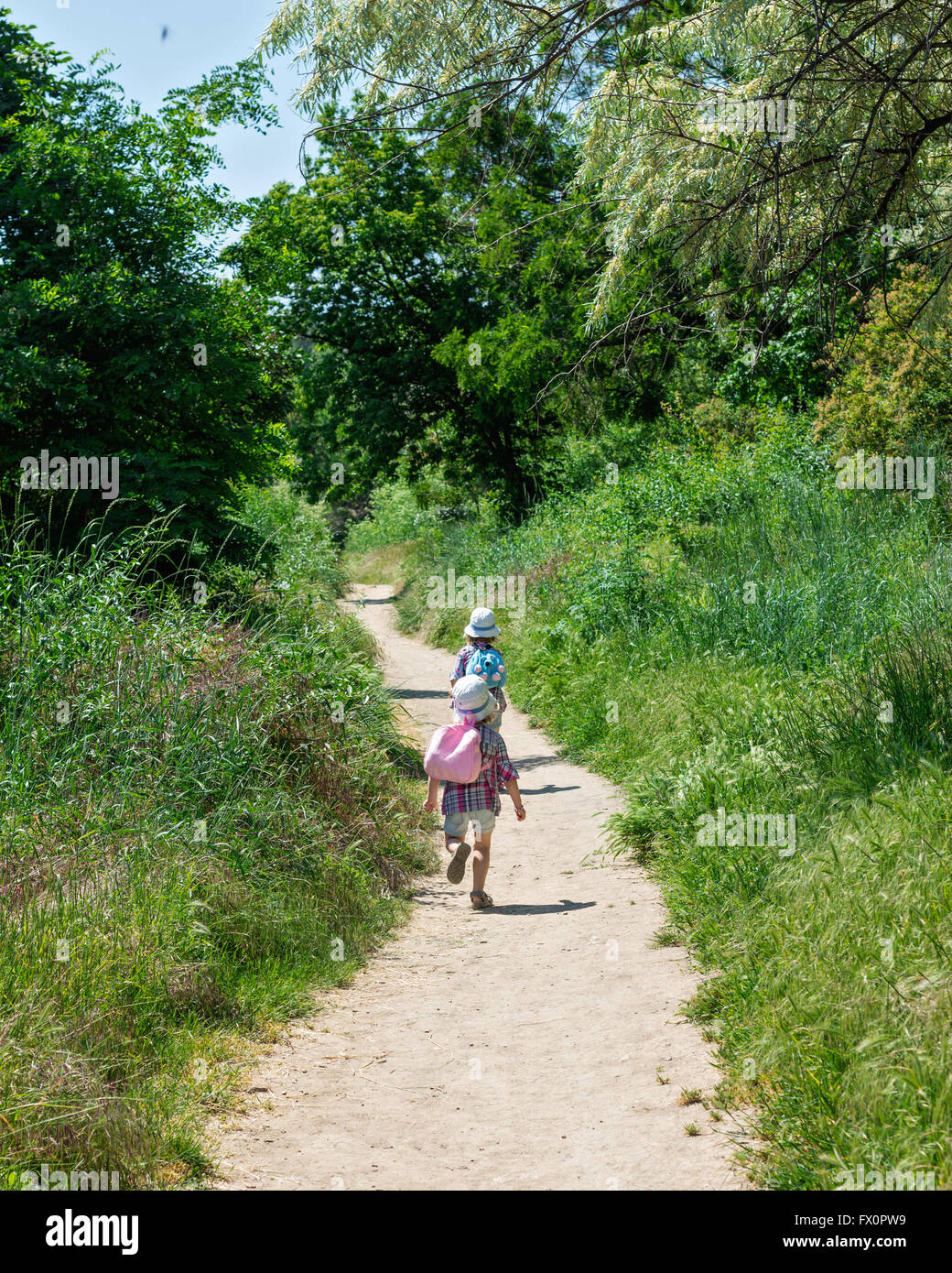 Petites sœurs (3 et 4 ans) de la randonnée avec sac à dos. Focus sélectif. Banque D'Images