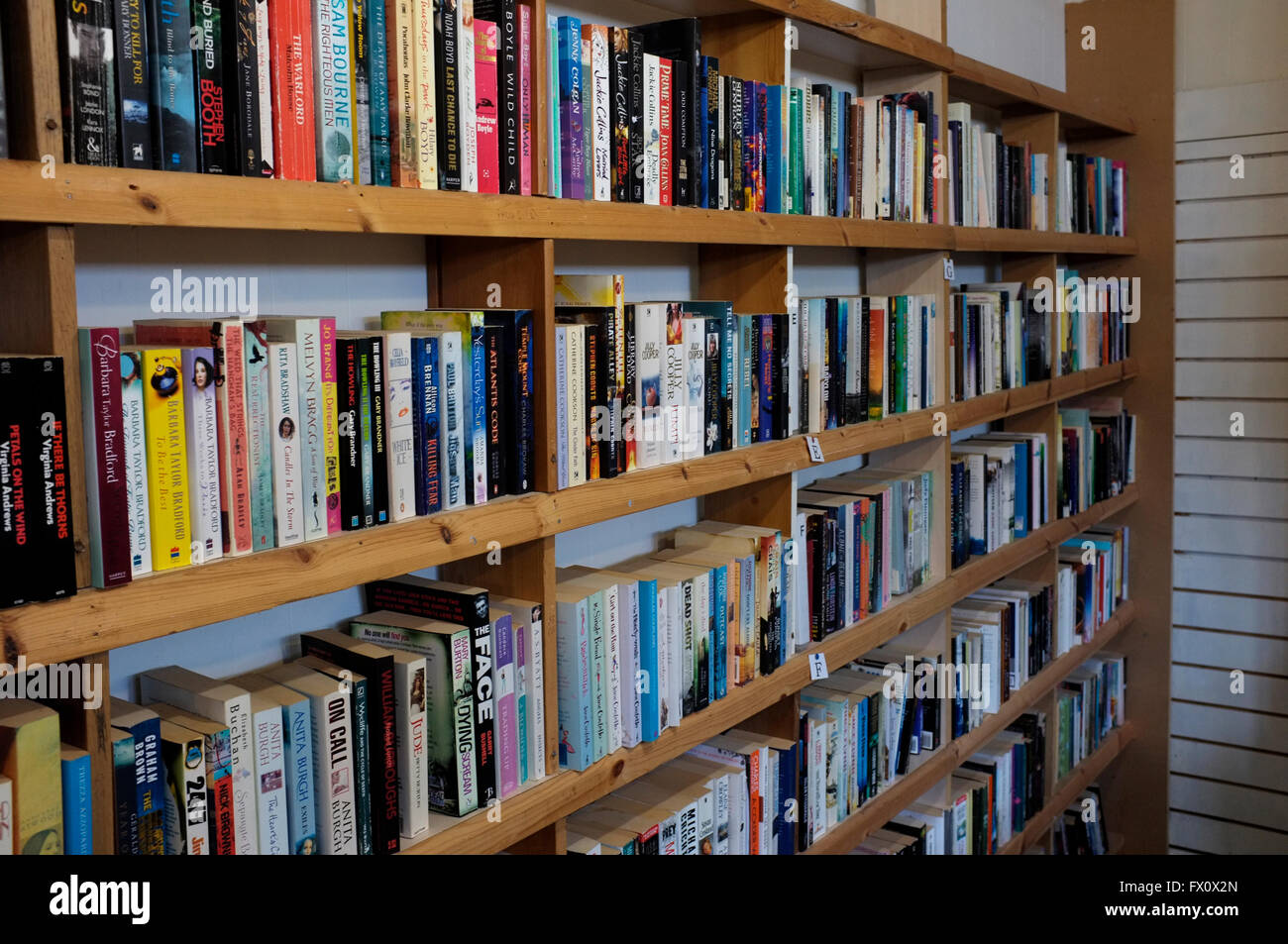Lignes de la fiction et non-fiction livres sur des étagères en bois dans la région de East Kent uk avril 2016 Banque D'Images
