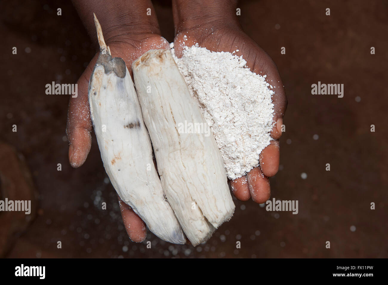 Racine de manioc fraîchement préparés et de farine de manioc étant détenu par une femme rwandaise. Banque D'Images