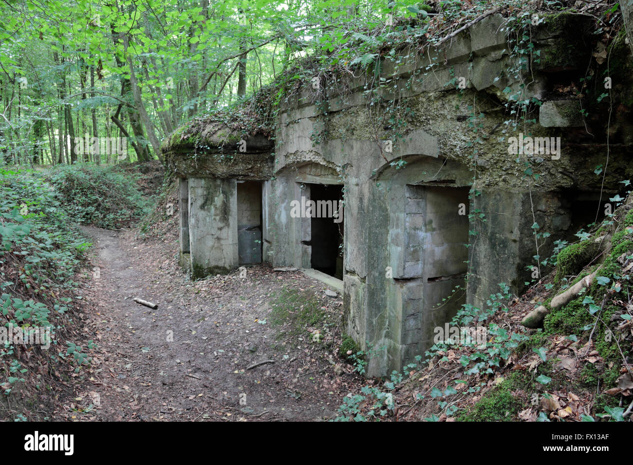 L'Abri du Kronprinz bunkers allemands, près de Varennes-en-argonne, Meuse, France. Banque D'Images