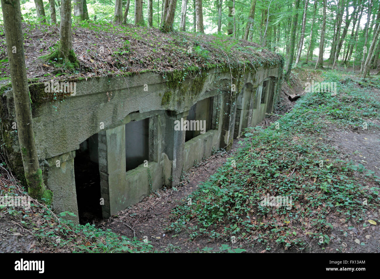 L'Abri du Kronprinz bunkers allemands, près de Varennes-en-argonne, Meuse, France. Banque D'Images
