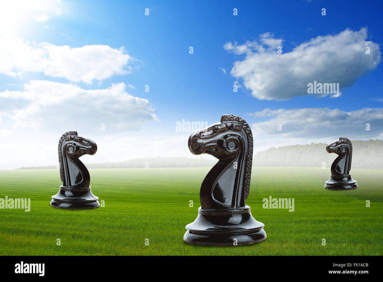 Chevaliers sur l'herbe Banque D'Images