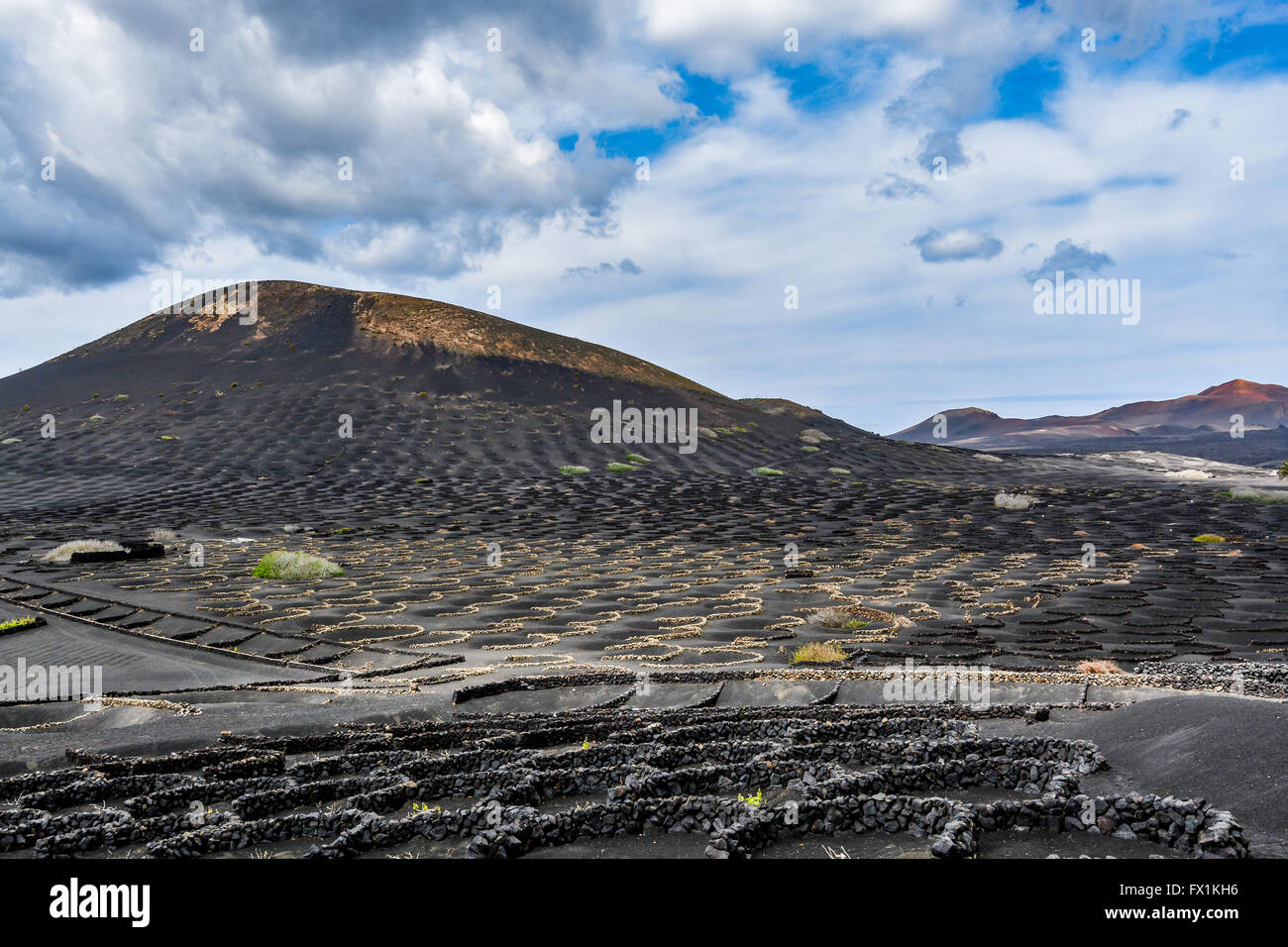 La culture du raisin typique dans La Geria salon sur l'île Lanzarote sous de magnifiques nuages, Îles Canaries, Espagne Banque D'Images