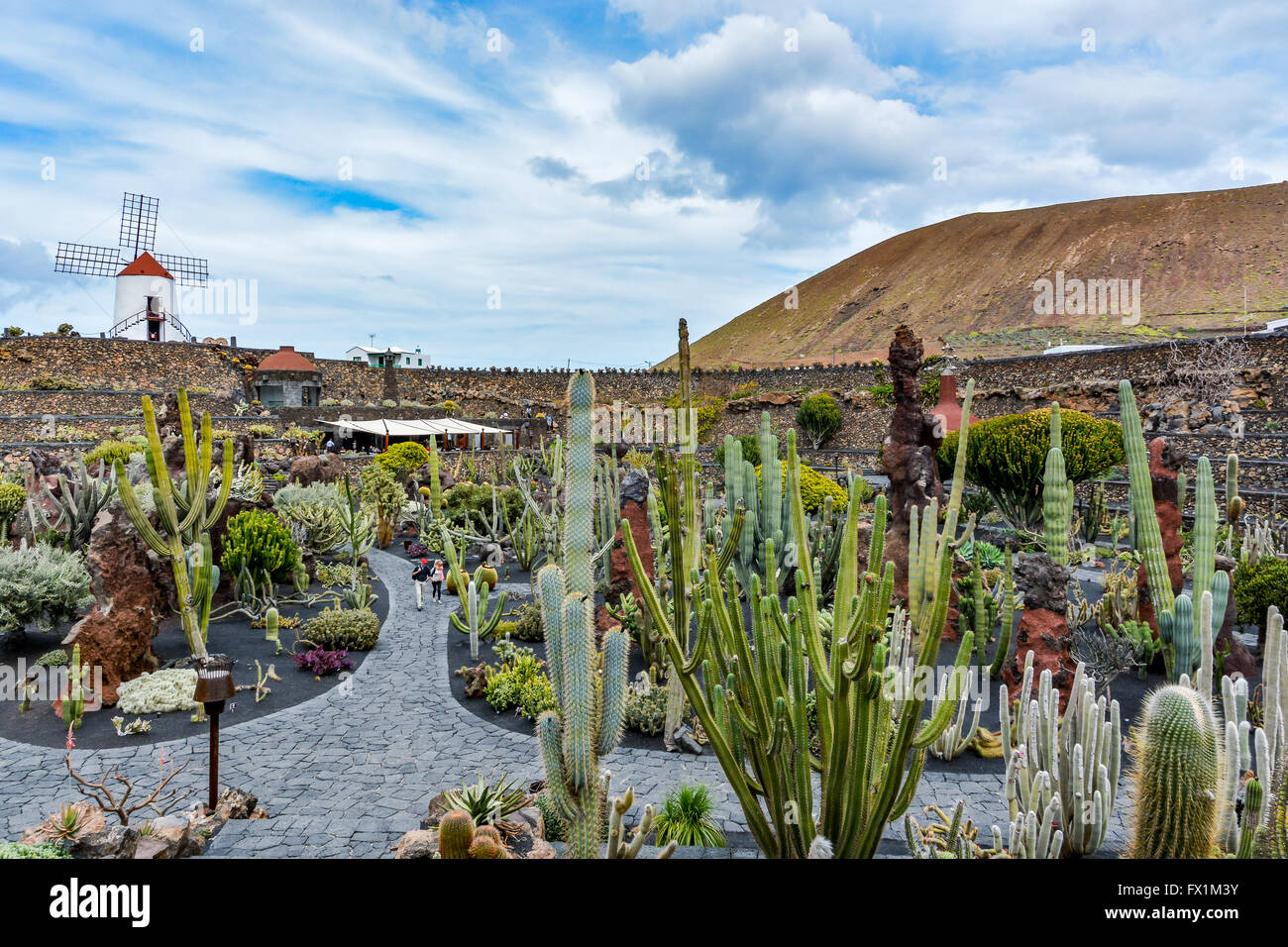 Jardin de cactus de Lanzarote Island qui a été conçu par Cesar Manrique, Espagne Banque D'Images