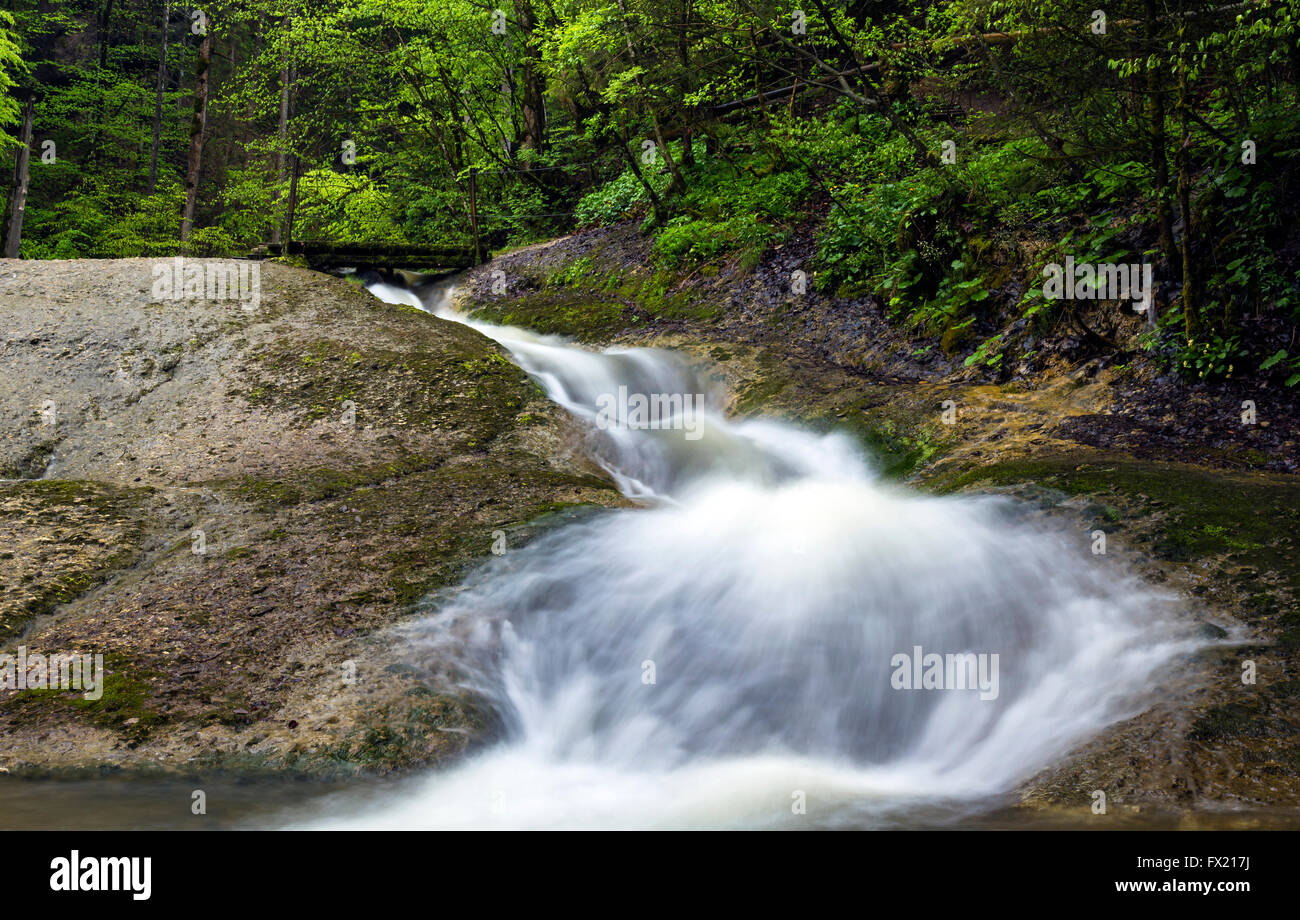 Geotope Eistobel gorge, dans l'Allgäu, Allemagne Banque D'Images