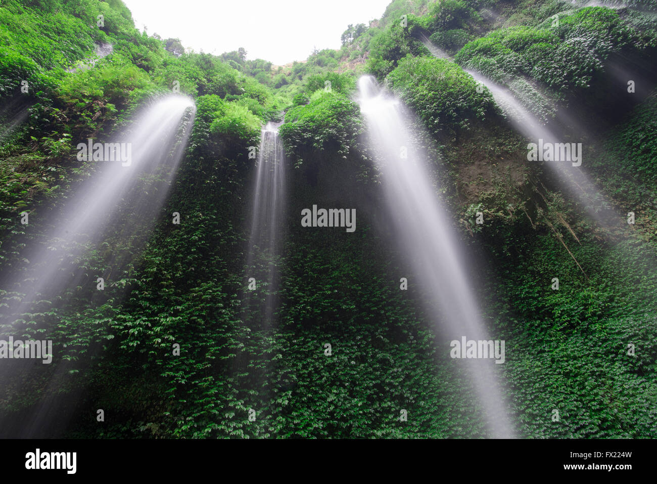 Cascade de Madakaripura, Java, Indonésie Banque D'Images