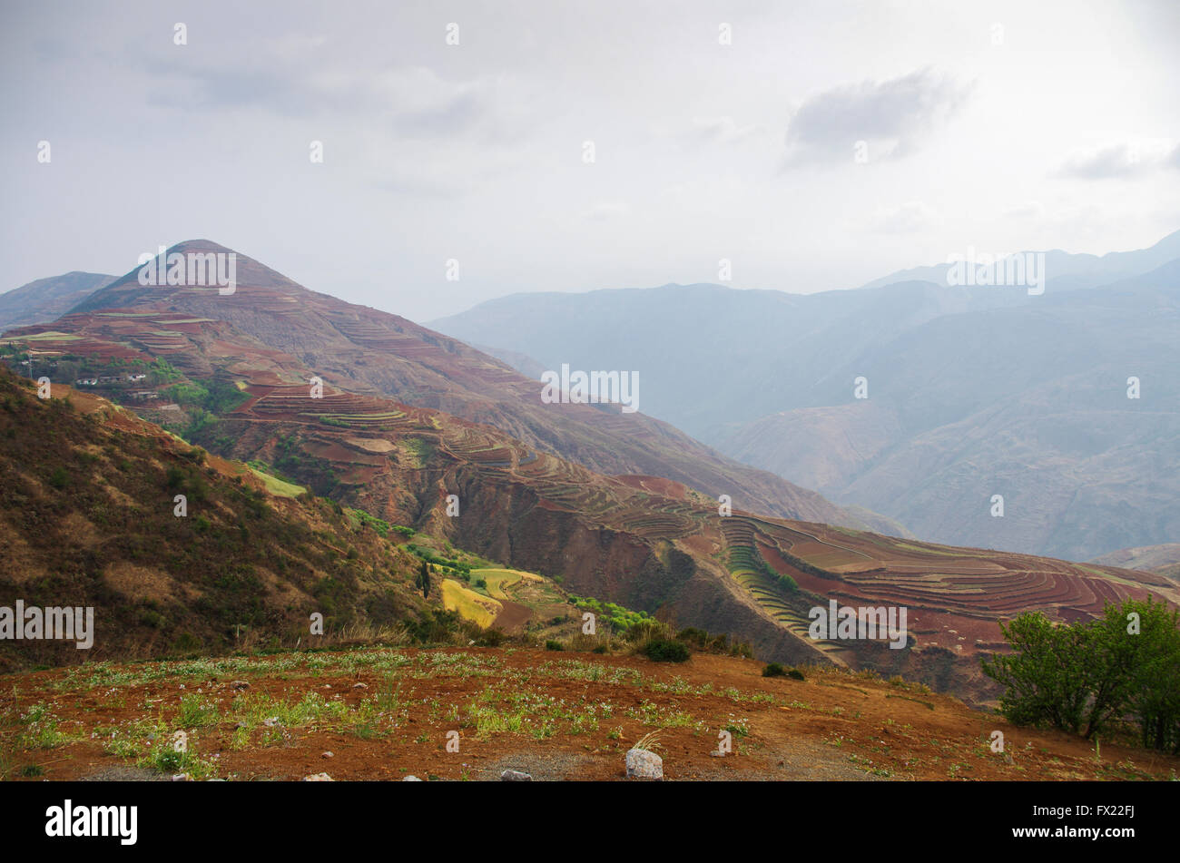 Plateau d'Dongshuan Sud, Yunnan, Chine, Asie Banque D'Images