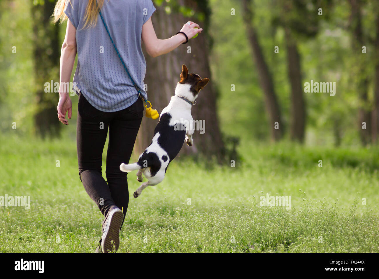 Jeune femme marcher avec un chien jouant la formation, chien saut Banque D'Images