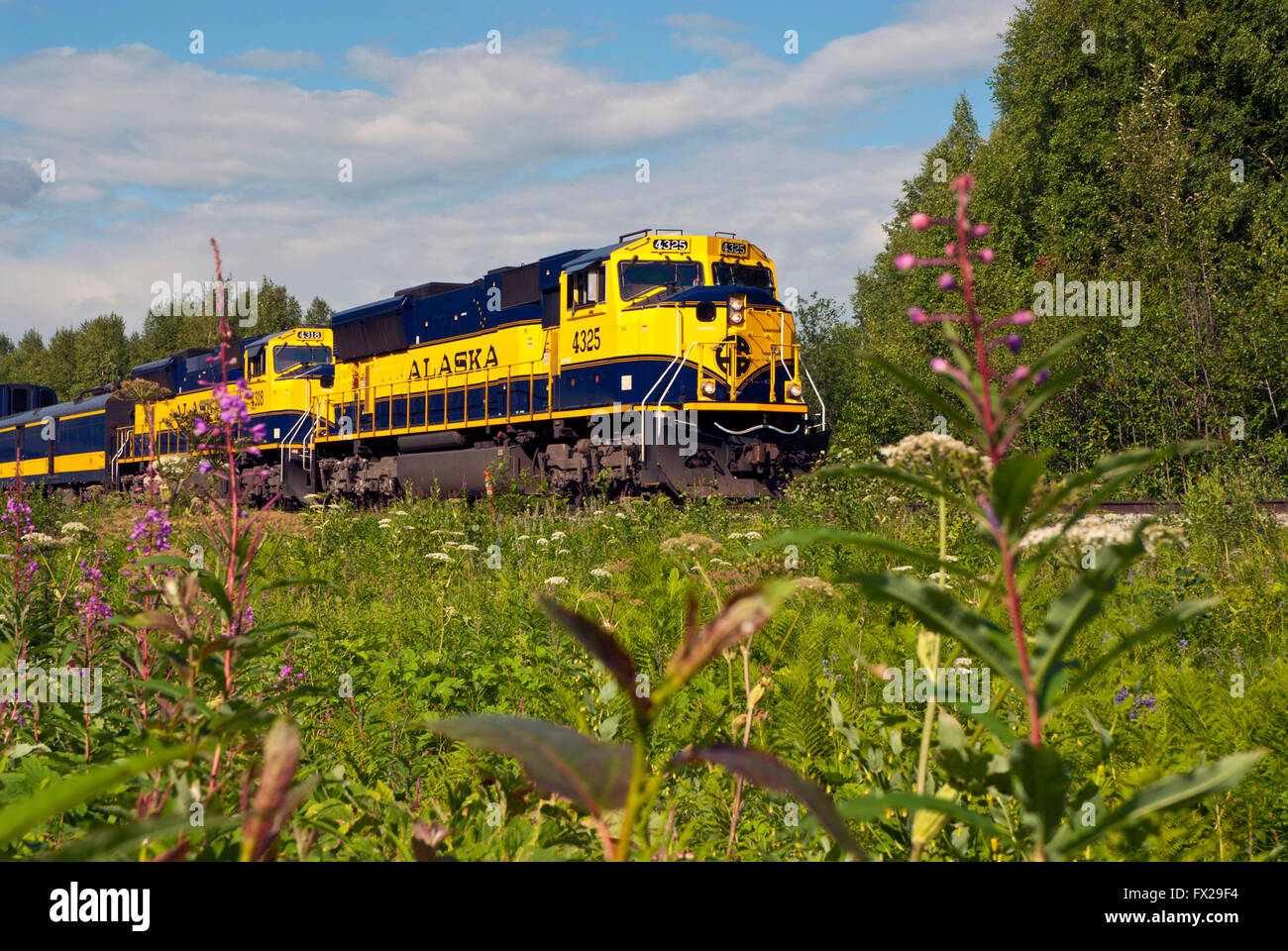 Alaska de train Banque D'Images
