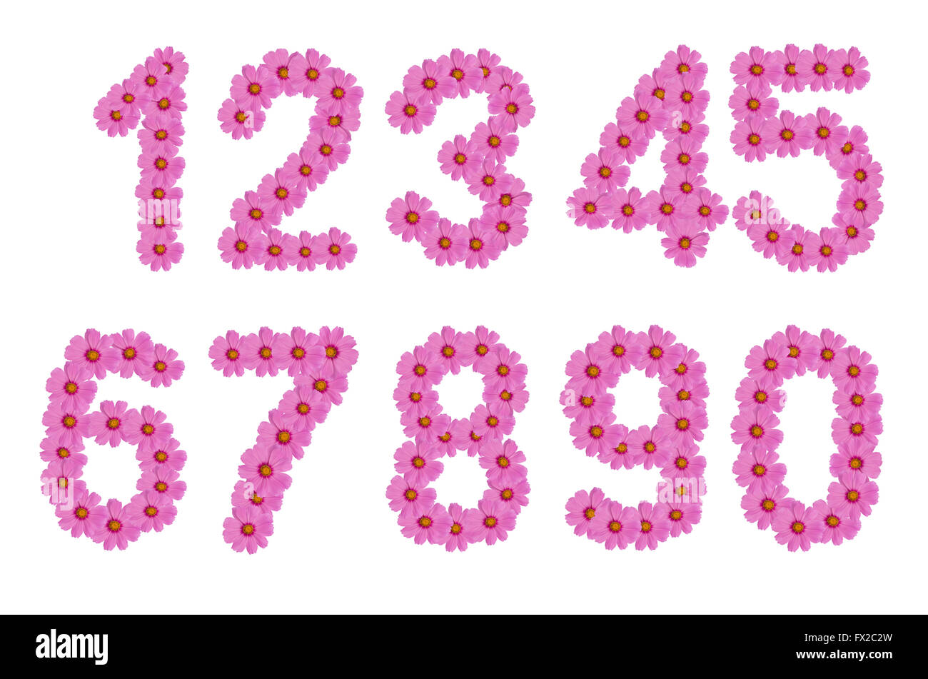 Nombre de fleurs cosmos. Un ensemble Banque D'Images