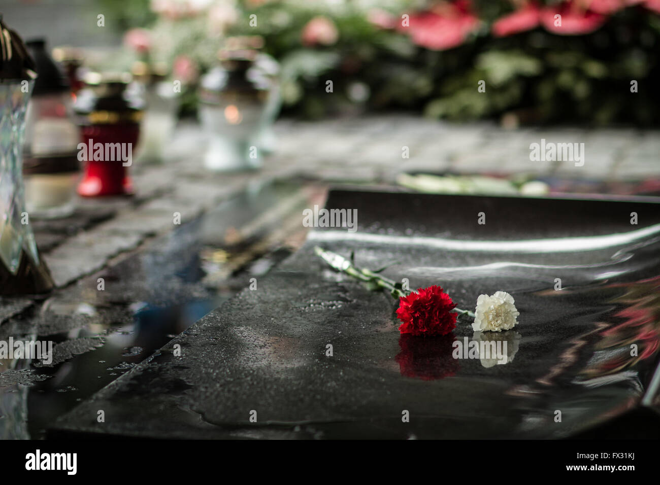Varsovie. 10 avr, 2016. Photo prise le 10 avril 2016 montre des fleurs placées à la pierre tombale d'une victime de l'accident d'avion à Smolensk russe, à la cimetière militaire de Varsovie Powazki à Varsovie, capitale de la Pologne. La Pologne a marqué le dimanche le sixième anniversaire de l'accident d'avion dans lequel 96 Polonais, y compris l'ancien président polonais, Lech Kaczynski, ont été tués. Crédit : Chen Xu/Xinhua/Alamy Live News Banque D'Images