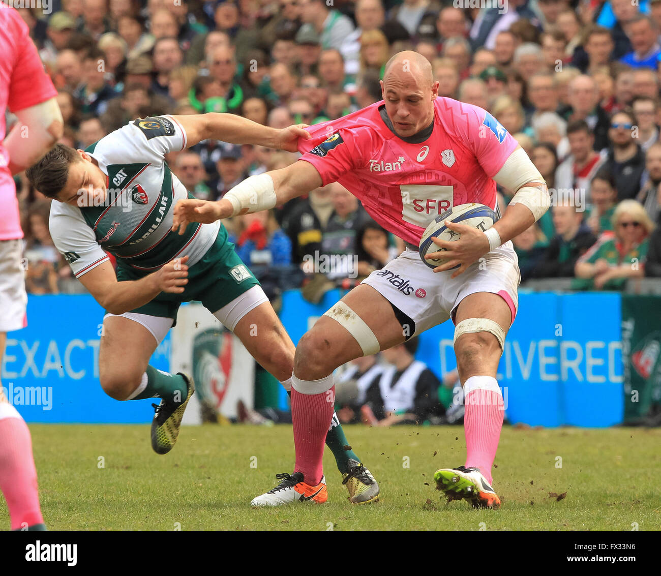 Welford Road, Leicester, UK. 10 avr, 2016. La Coupe des champions européens. Leicester Tigers contre Stade Francais. Le capitaine Sergio Parisse membres travaillant dur dans le lâche. Credit : Action Plus Sport/Alamy Live News Banque D'Images