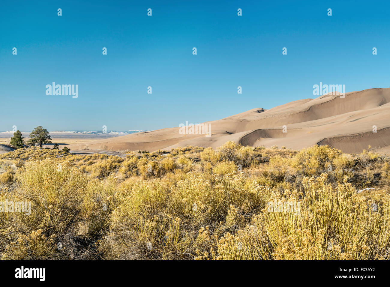 Matin d'hiver calme au Great Sand Dunes National Park en Californie Banque D'Images