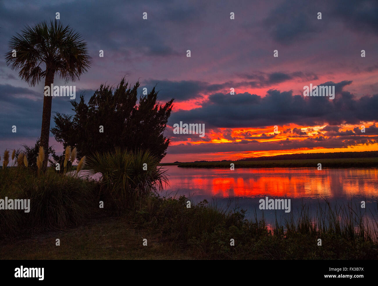 Fripp Island, Caroline du Sud, USA. Coucher de soleil sur l'ancienne maison Creek, palmetto de scie Silhouette. Banque D'Images
