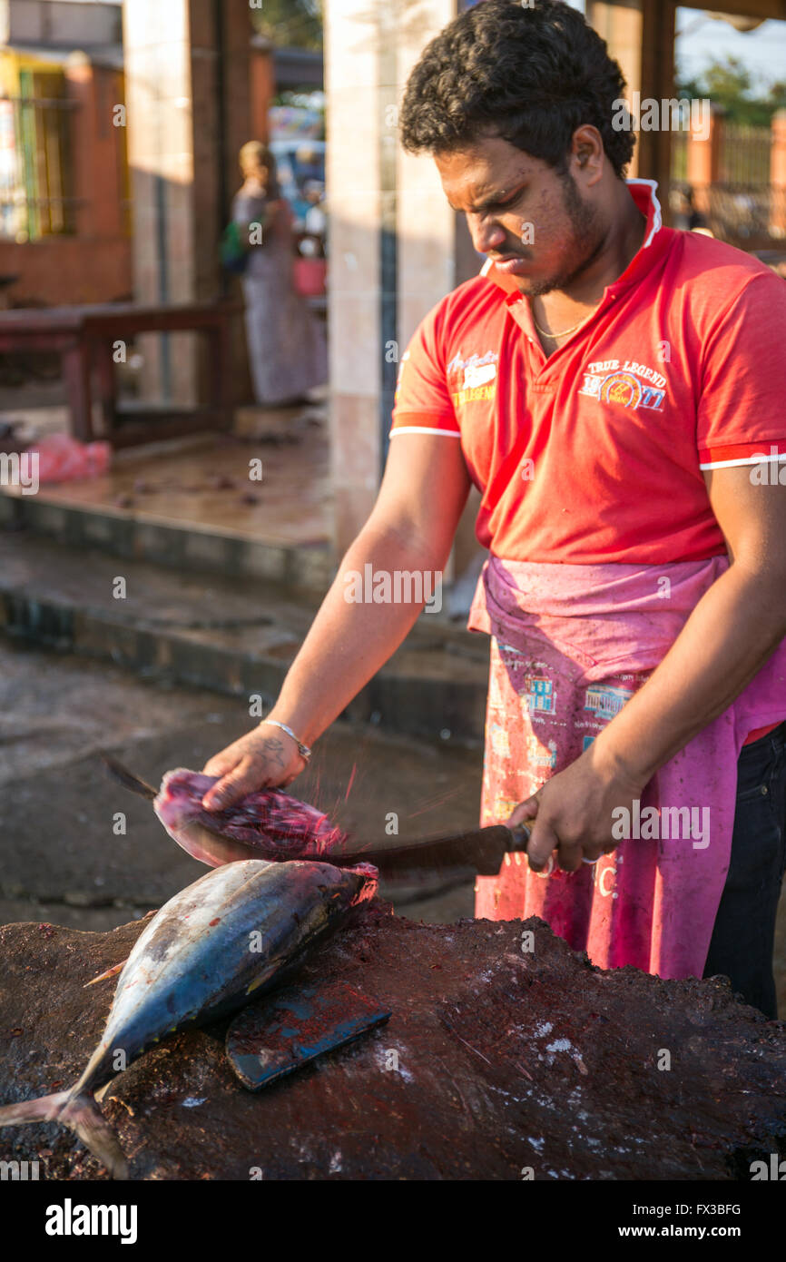 Poissonnier de fileter le poisson frais, port de pêche, le lagon de Negombo, Negombo, Sri Lanka, de l'Océan Indien, l'Asie Banque D'Images