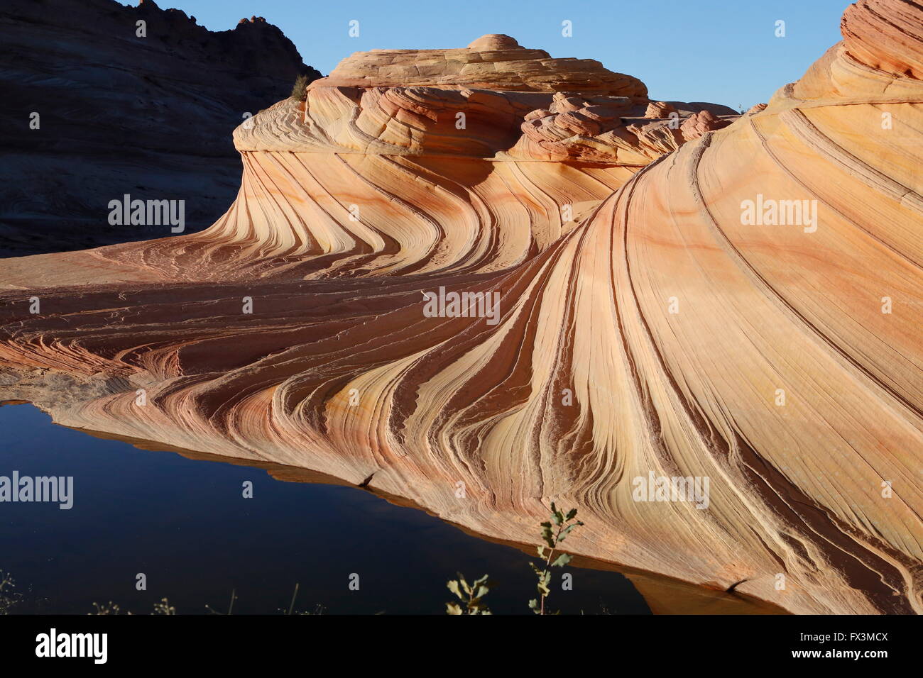 Belle formation de grès connu sous le nom de Wave2, le Coyote Buttes North dans le désert entre falaises Vermillion Page & Kanab Banque D'Images