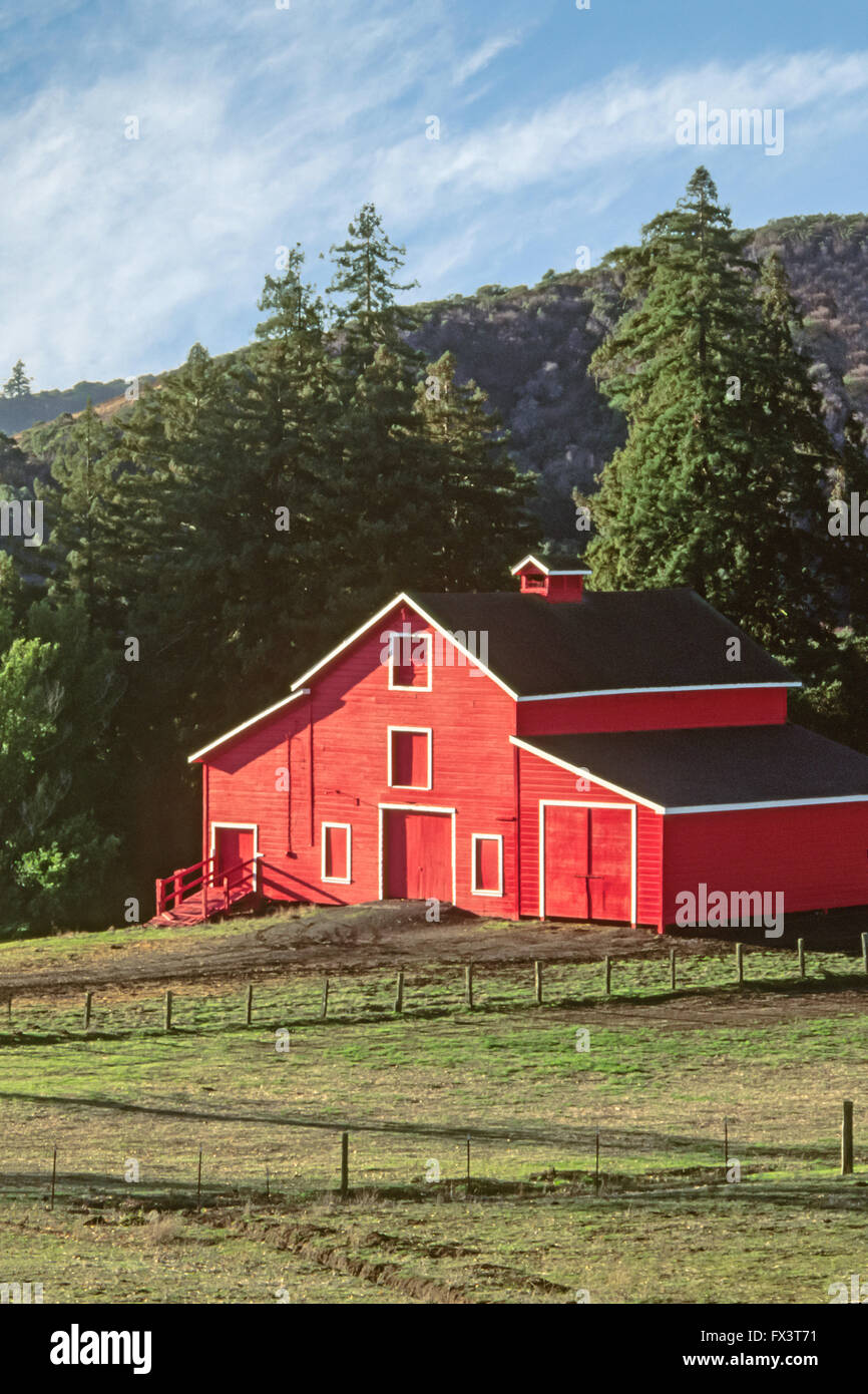 Grange rouge entouré de bois, avec une clôture, de l'échinochloa pied-de-blanc dans les montagnes de Santa Cruz, Californie, USA Banque D'Images