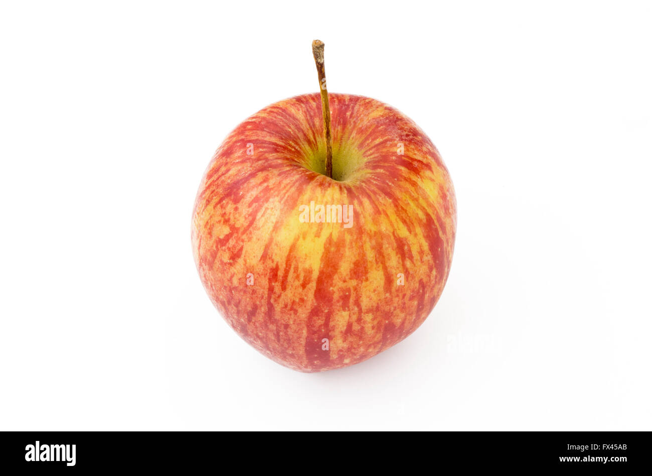 La pomme 'Rubens' Variété sur un fond blanc Banque D'Images