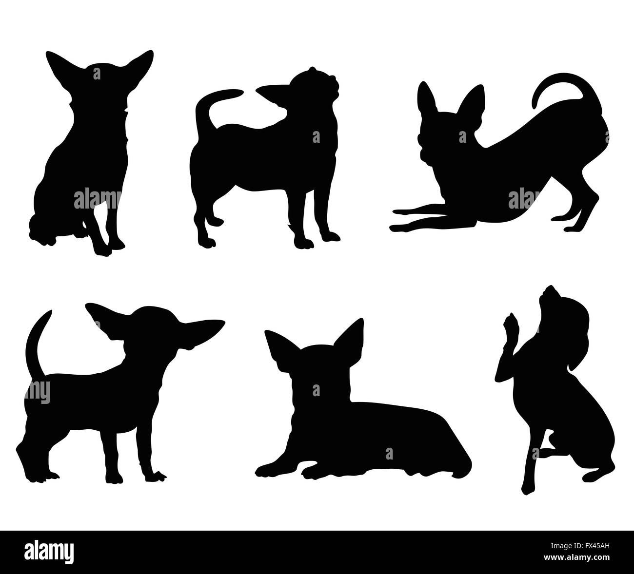 Chihuahua dog illustration set Banque D'Images