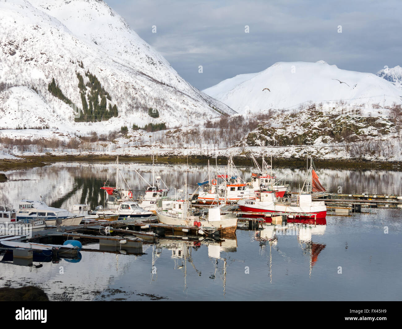 Bateaux de pêche dans le port sur l'île Austvagoy Sildpollen, îles Lofoten, Norvège Banque D'Images