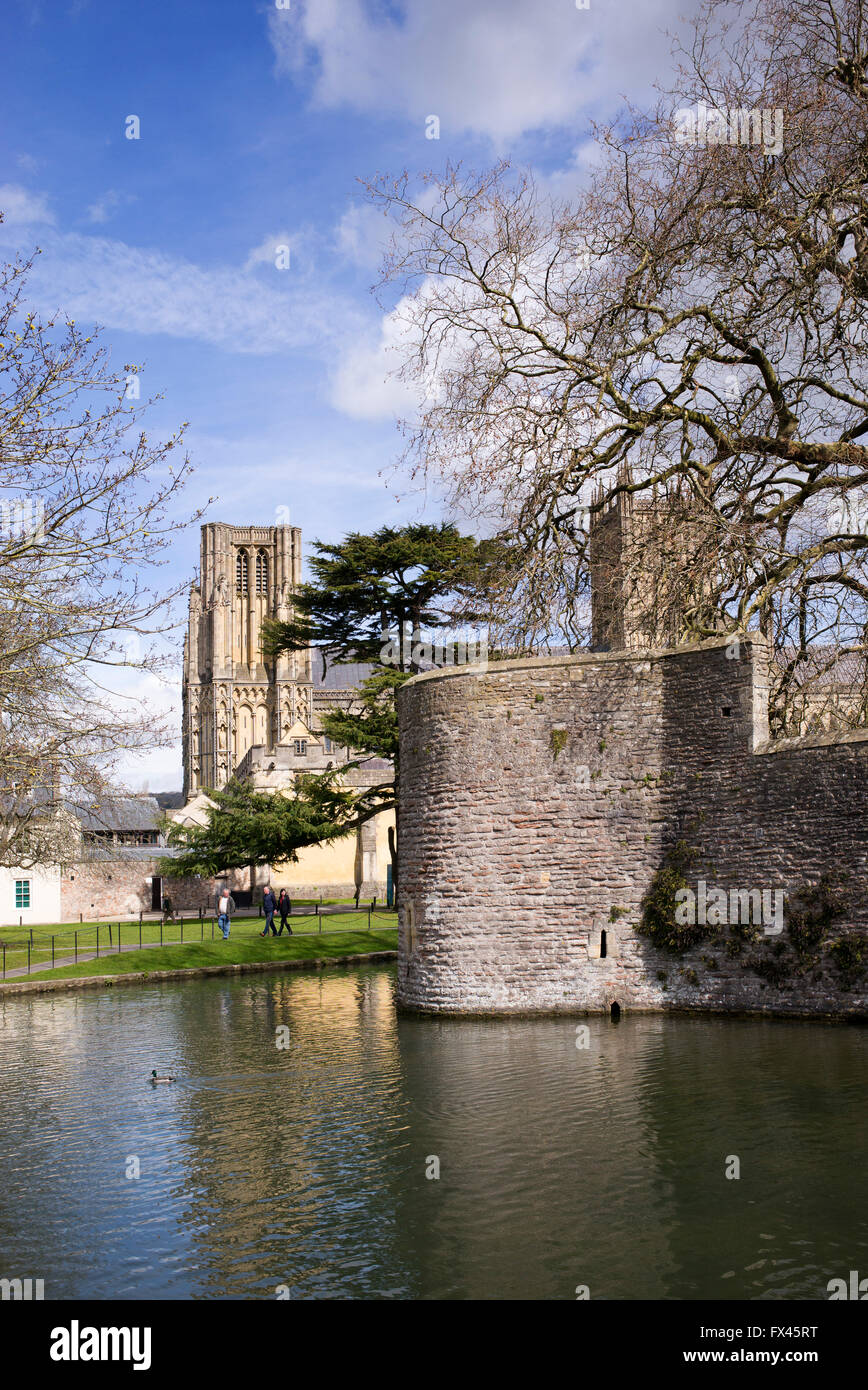 Le palais des évêques douves et cathédrale. Wells, Somerset, Angleterre Banque D'Images