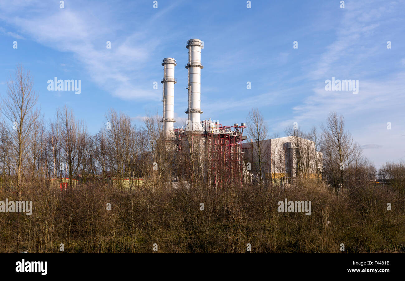 Sur le côté est de la rivière Nene, Sutton Bridge, Lincolnshire, Angleterre, RU Banque D'Images